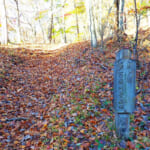 【画像】【秀麗富嶽十二景】秋のヒロインと呼ぶべき孤高の一座、五番山頂「奈良倉山」 〜 画像1