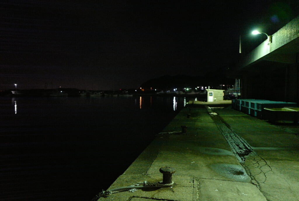 堤防で夜釣り