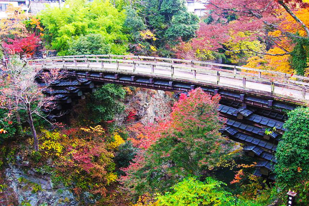 日本三奇橋の猿橋