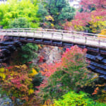 日本三奇橋の猿橋