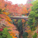 【画像】百蔵山登山の最後のご褒美！　歌川広重も描いた日本三大奇橋「猿橋」と桂川の深く美しい渓谷を愛でる 〜 画像1