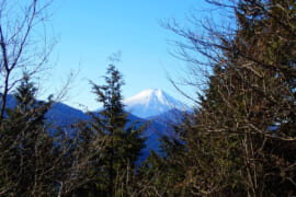 高畑山から望む富士山