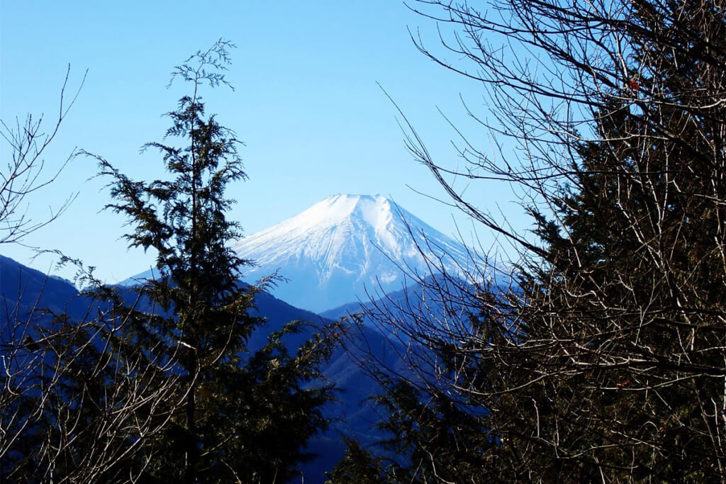 高畑山から望む富士山