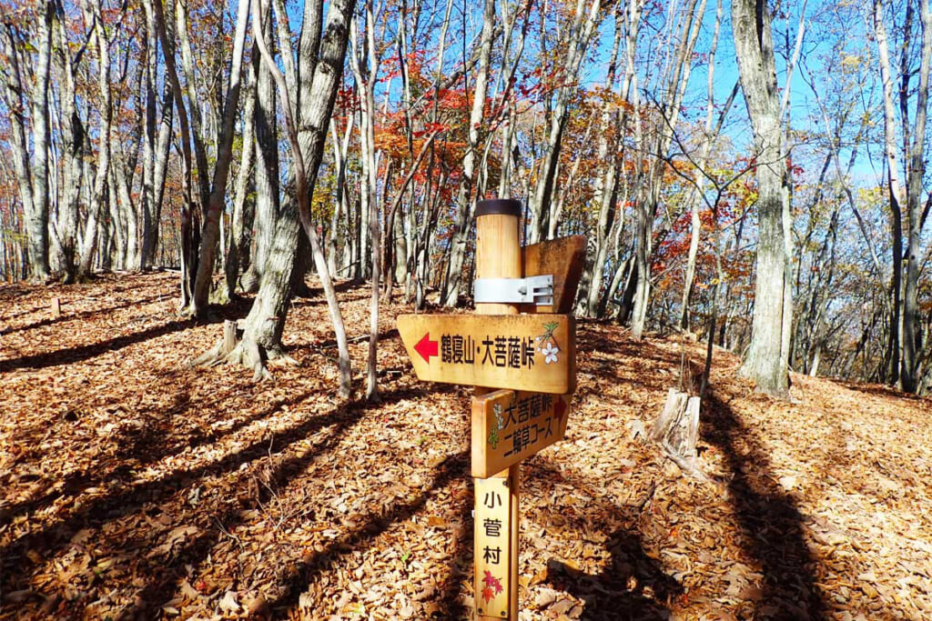 鶴寝山の登山道標識