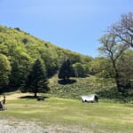 【画像】紀伊半島の山深い森で火の鳥に出会い、高貴なヤマシャクヤクを愛でる「和佐又山deキャンプ＆ハイク」【後編】 〜 画像1