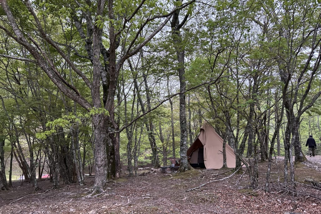 和佐又山の森のテントサイト