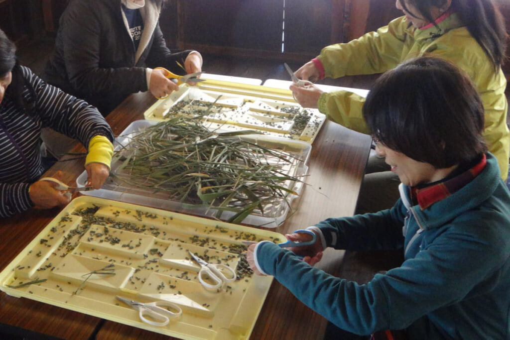 野草茶づくりの作業