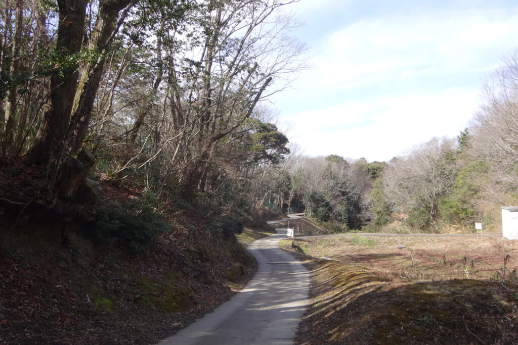 相談ヶ辻から星和台への里山道