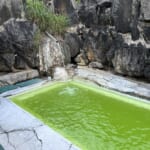 【画像】東北ならではの名湯に酔いしれる！　初夏の花を愛でる山旅「前衛峰・笹森山ハイク」を心ゆくまで堪能 〜 画像1