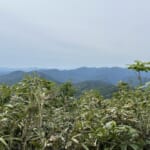 【画像】可憐な高山植物三昧！　幸運にも恵まれた山旅「秋田駒ケ岳ハイク」で初夏の花を愛でる 〜 画像1