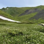 【画像】秘境感漂う別世界！　高山植物の宝庫「秋田駒ケ岳」のムーミン谷で初夏の花を愛で、名湯に癒やされる 〜 画像1