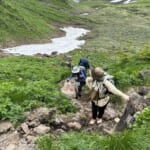 【画像】秘境感漂う別世界！　高山植物の宝庫「秋田駒ケ岳」のムーミン谷で初夏の花を愛で、名湯に癒やされる 〜 画像1