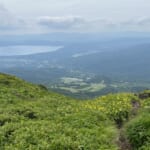 【画像】秘境感漂う別世界！　高山植物の宝庫「秋田駒ケ岳」のムーミン谷で初夏の花を愛で、名湯に癒やされる 〜 画像1