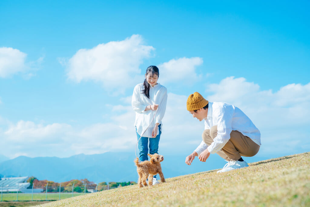 キャンプ場を散歩する愛犬