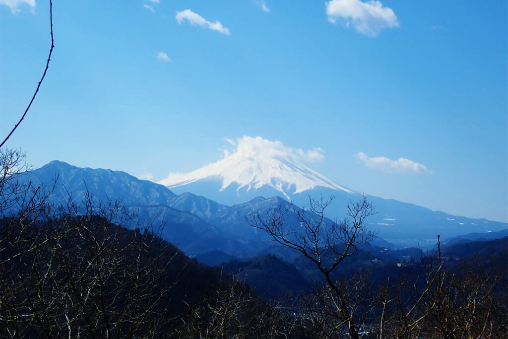 菊花山山頂からの富士山