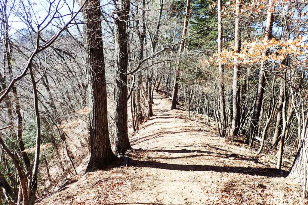 御前山山頂の稜線トレイル