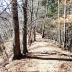 【画像】低山とは思えない和柄な絶景！ 　侮れないアスレチック感が魅力満載の十番山頂「御前山」ハイク 〜 画像1