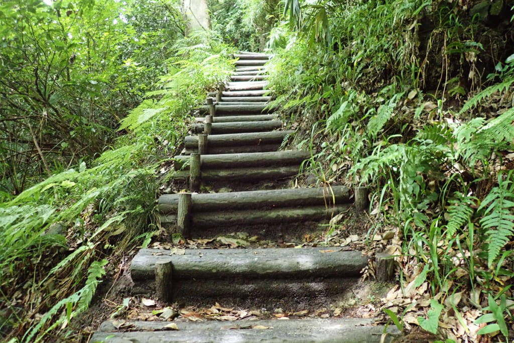 祇園山ハイキングコースの階段