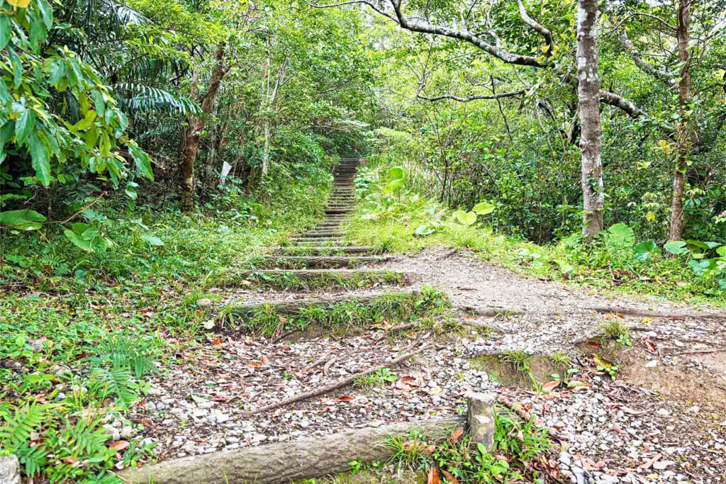 嘉津宇岳登山道の階段