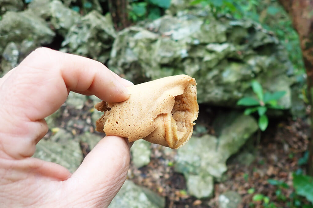 沖縄県の伝統的なお菓子のポーポー