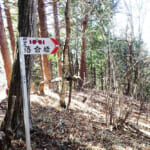 【画像】富士山の眺望には難ありの十番山頂「九鬼山」、天狗岩からの富士の絶景が労をねぎらうボーナス登山に！ 〜 画像1