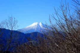 倉岳山から望む秀麗富士山