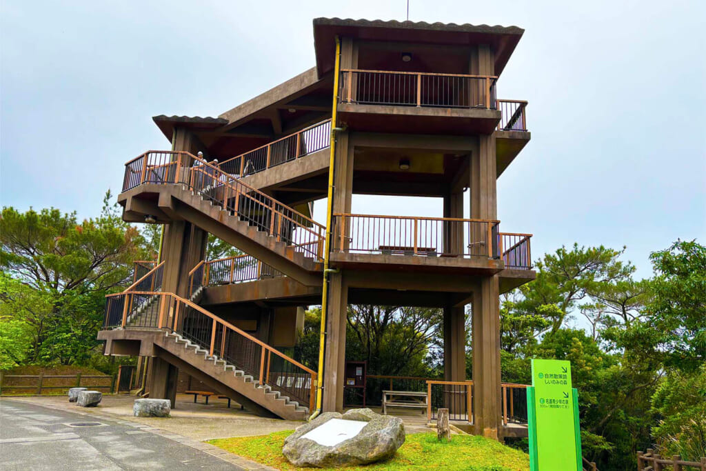 名護中央公園の天井展望台