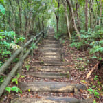 【画像】あえてハズしの沖縄の南海の島登山！　ロングトレッキングのご褒美は山頂から眺めるエメグリの海 〜 画像1