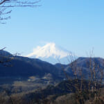 お伊勢山から望む富士山