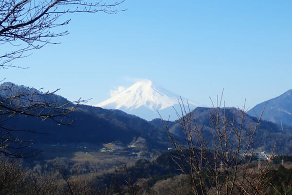 お伊勢山から望む富士山