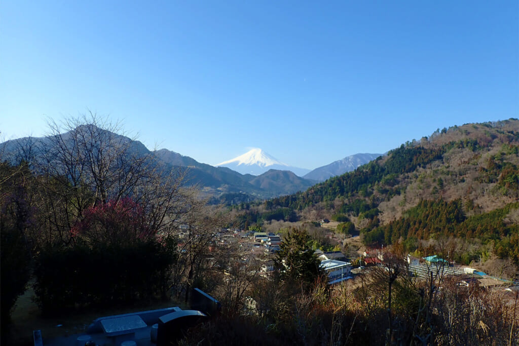 里山全体からの富士山