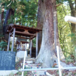 【画像】標高550mの里山歩きで雄大な富士を拝む！　八番山頂「お伊勢山」で五福参りハイク 〜 画像1