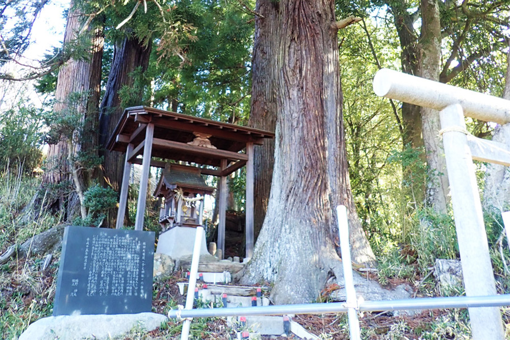 お伊勢山の根神神社