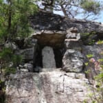 【画像】美しき稀少な初夏の花を訪ねて！　丹波篠山「多紀アルプス」登山ルポ 〜 画像1