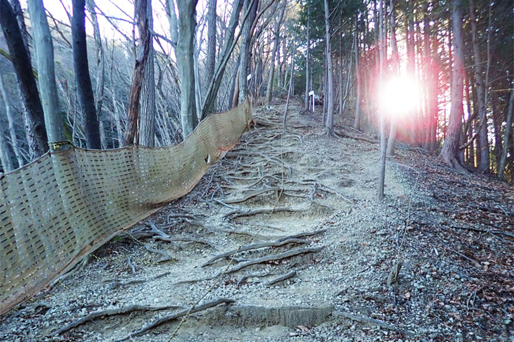 登山口を入った急登のコース