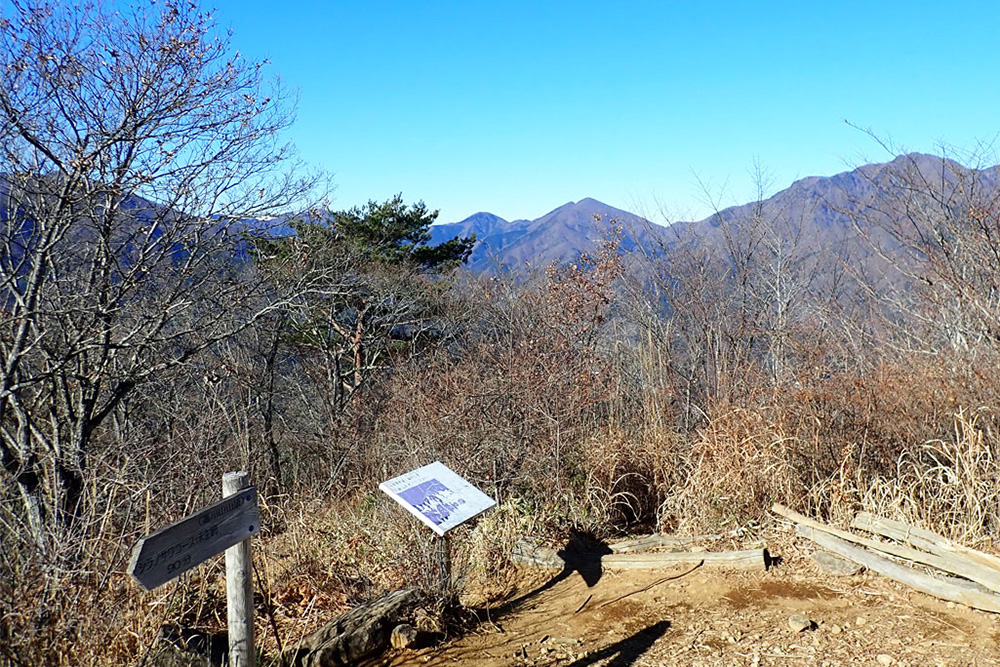 山頂から富士山の前衛の山並み