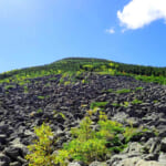 編笠山の岩場