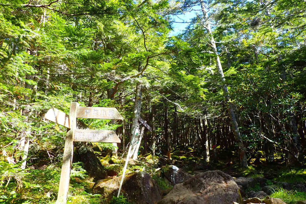 編笠山の登山道標識