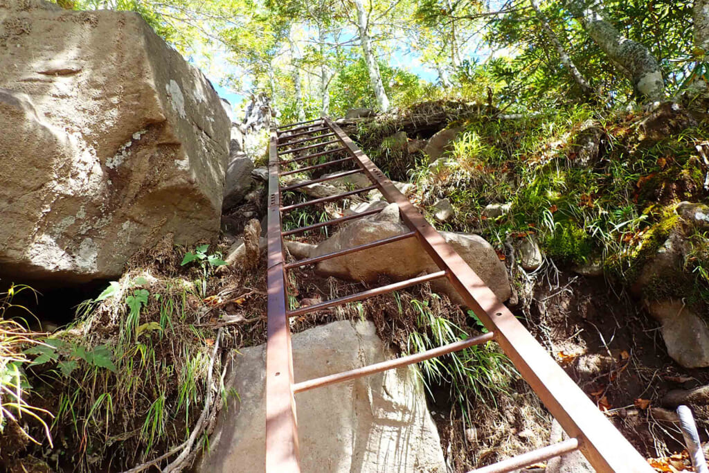 編笠山登山道の梯子