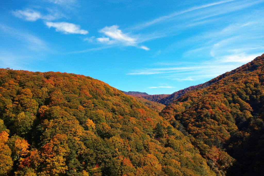 紅葉した山