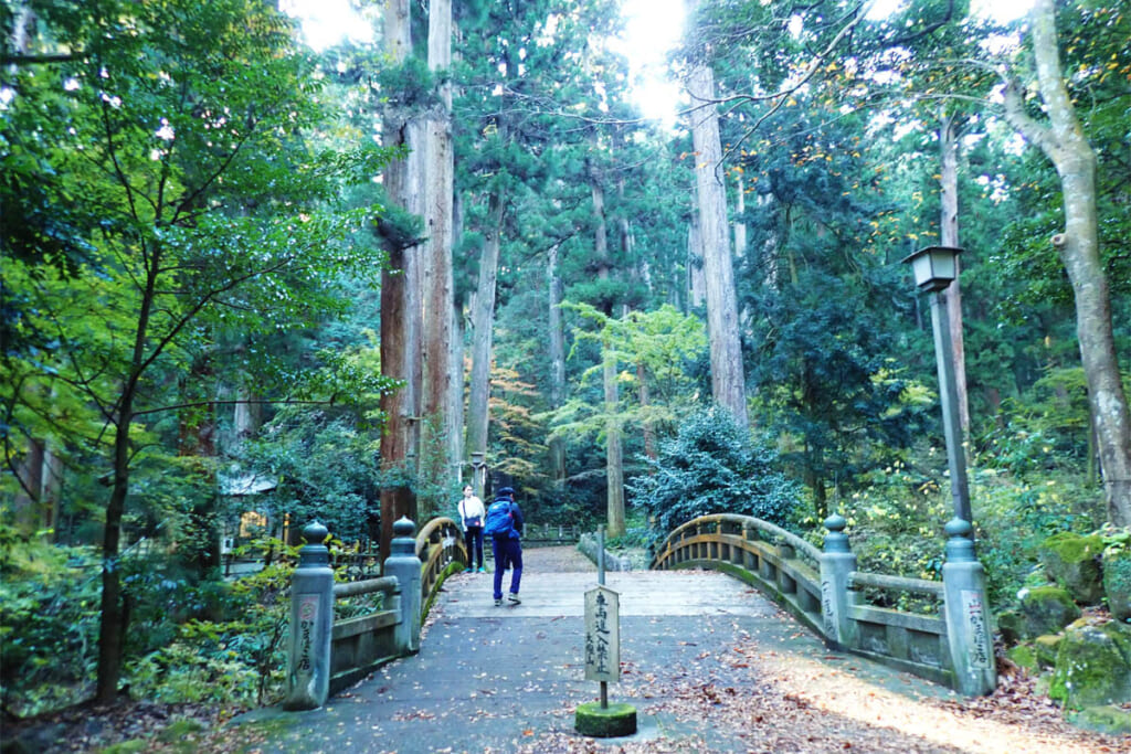 南足柄の大雄山最乗寺