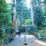 【画像】神奈川県の最高峰は蛭ヶ岳！　横浜市最高峰は大丸山、そして小田原市の最高峰とは 〜 画像1