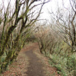 【画像】神奈川県の最高峰は蛭ヶ岳！　横浜市最高峰は大丸山、そして小田原市の最高峰とは 〜 画像1