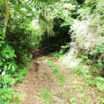 【画像】神奈川県の最高峰は蛭ヶ岳！　横浜市最高峰は大丸山、そして小田原市の最高峰とは 〜 画像1