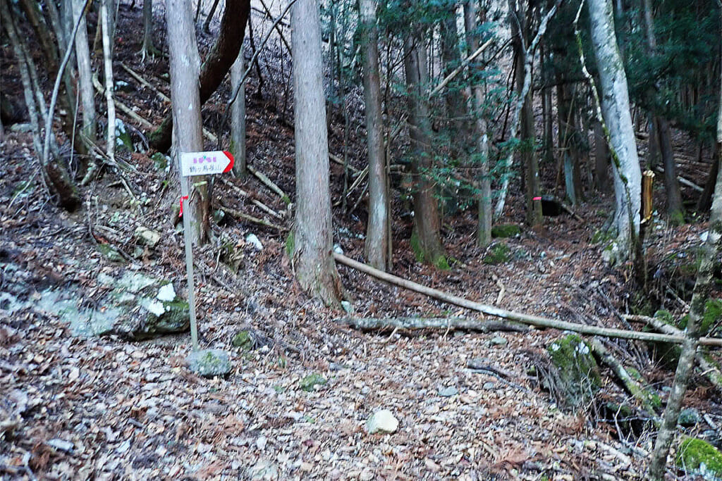 船橋沢ルートの登山道