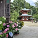 【画像】世界遺産「熊野古道を行く」山麓から180町の町石道を歩く 〜 画像1