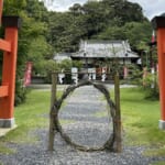 【画像】世界遺産「熊野古道を行く」山麓から180町の町石道を歩く 〜 画像1