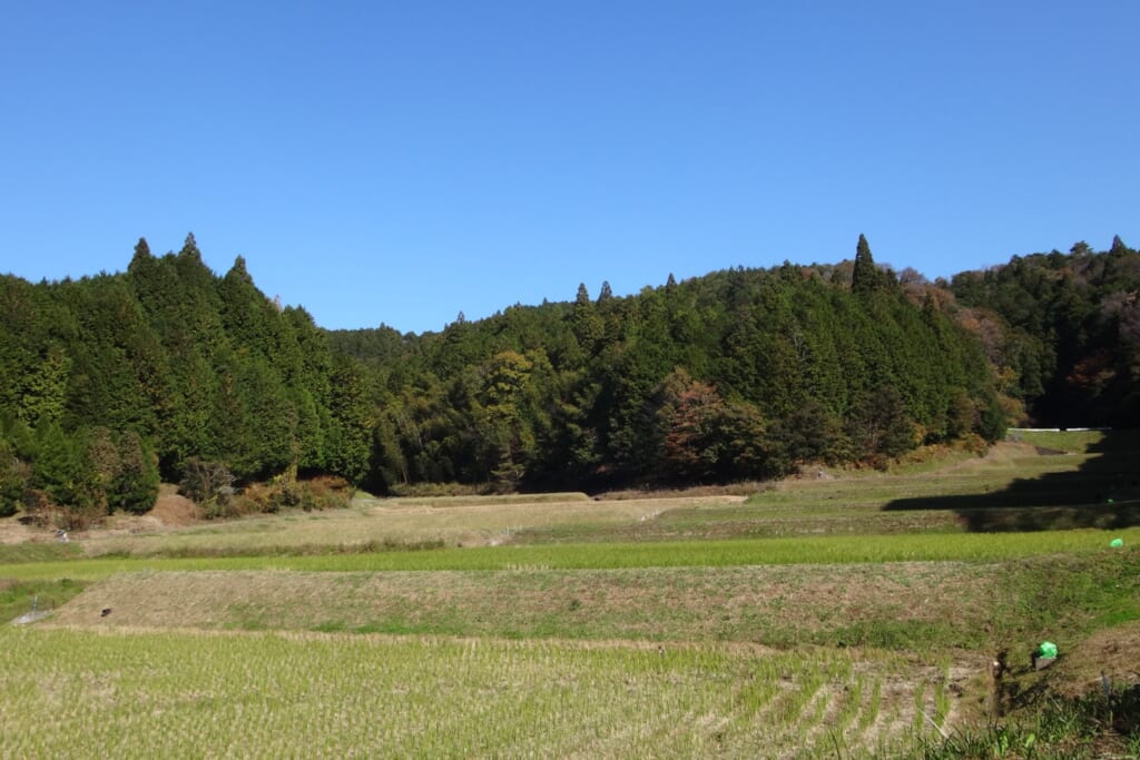 天野の里