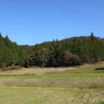 【画像】世界遺産「熊野古道を行く」山麓から180町の町石道を歩く 〜 画像1