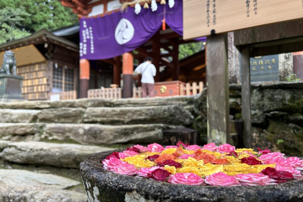 丹生都比売神社の花手水